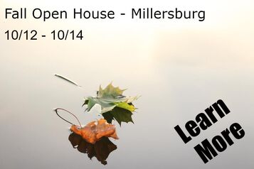 weebly_learn_more_about_the_fall_open_house_at_Northumberland_Hearing_Center_in_Millersburg_orange_and_green_fallen_leaves_on_water